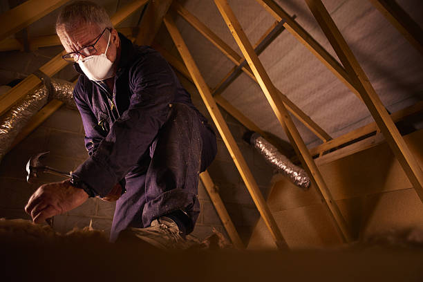 Best Insulation Installation Services in Queen Creek, AZ